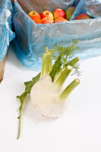fänkål. foto: Torbjörn Lagerwall